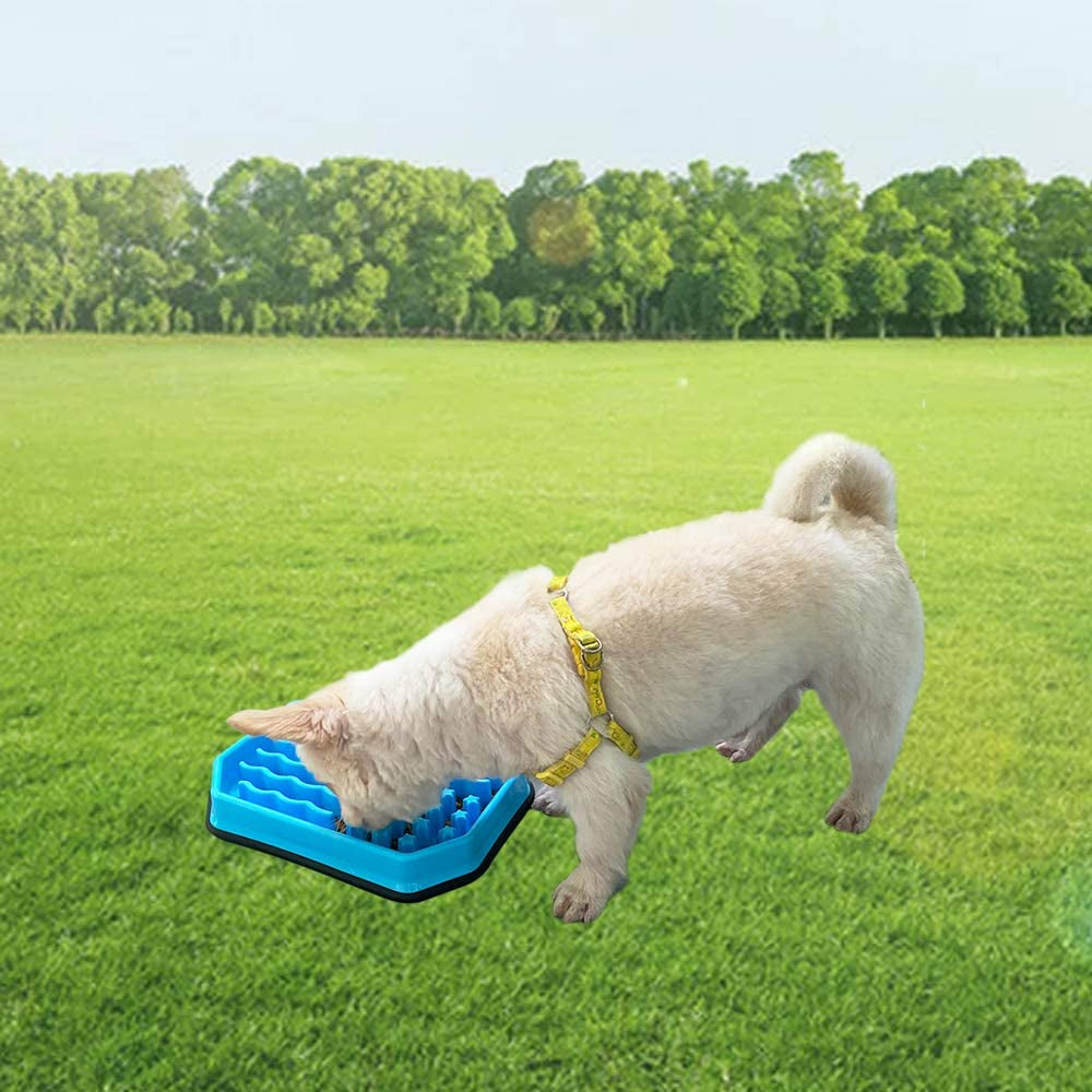Slow Feeding Bowl for Dogs - Puzzle Feeder to Prevent Bloat, Ideal for Medium, Small Breeds and Puppies
