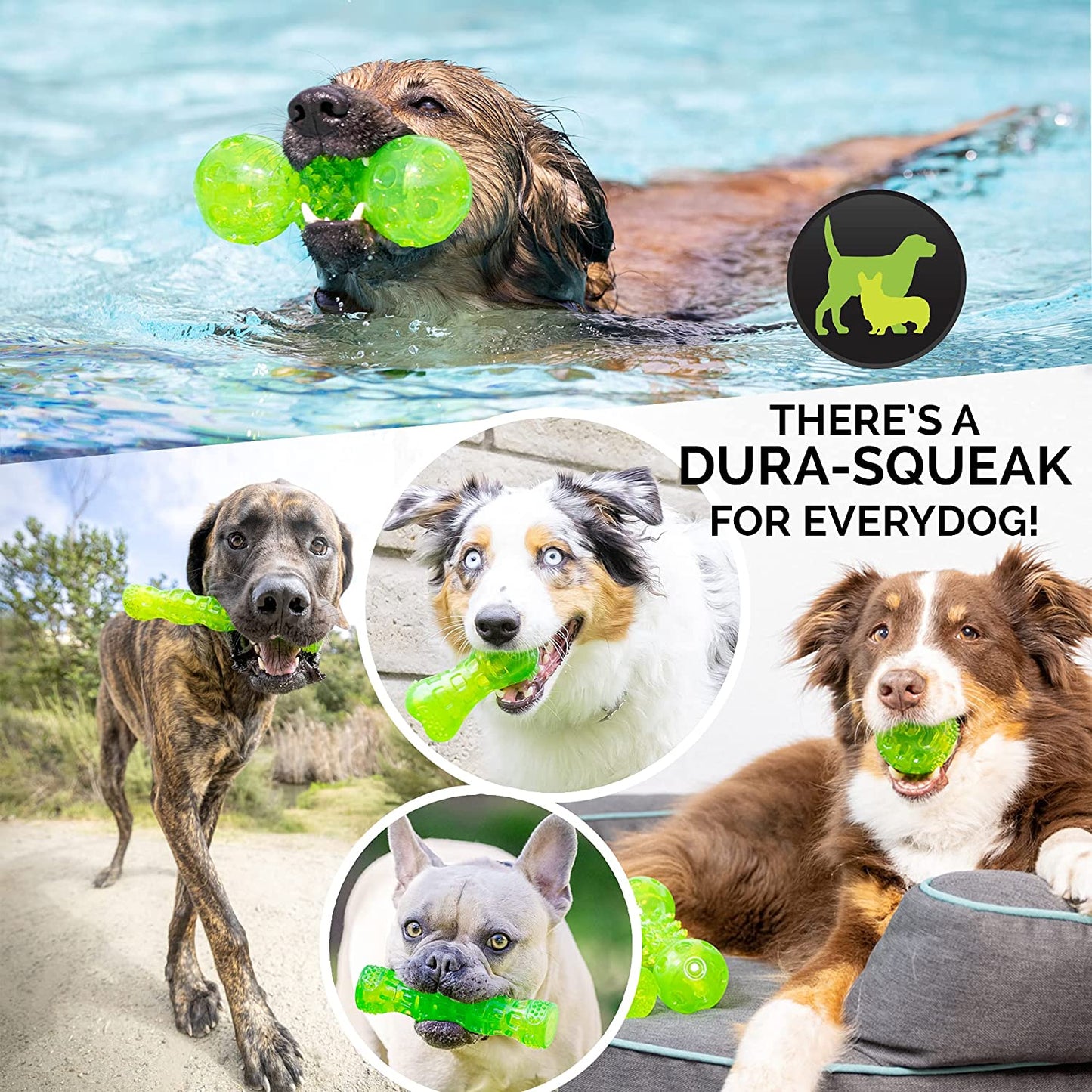 Durasqueak Interactive Dog Ball Toy - Floating and Squeaking Fetch Toy, 2.5 Inch Green, Ideal Alternative to Traditional Tennis Balls
