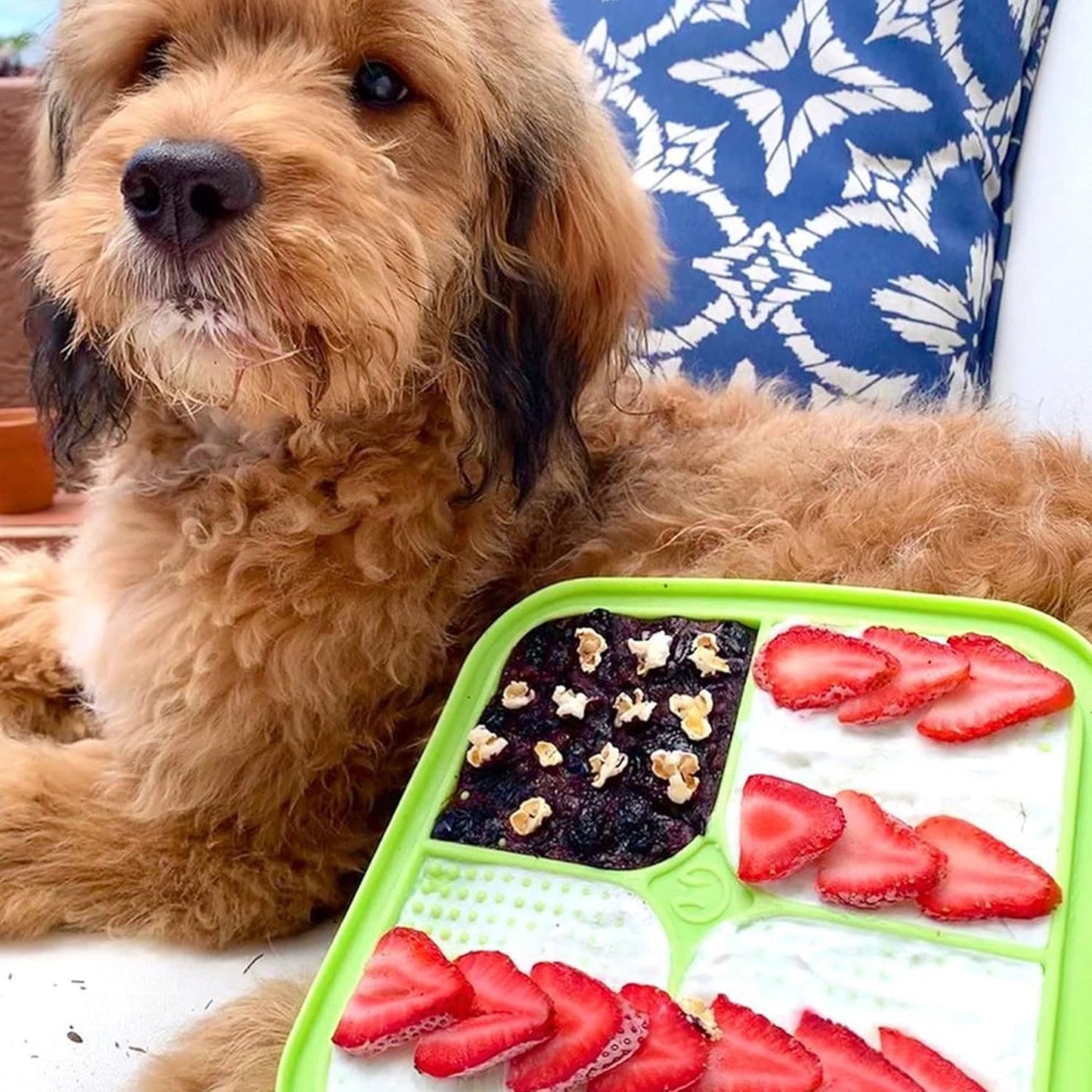 IQ Treat Lick Mat for Dogs and Cats | Innovative Slow Feeder Alternative | Ideal Enrichment Toy for Pets