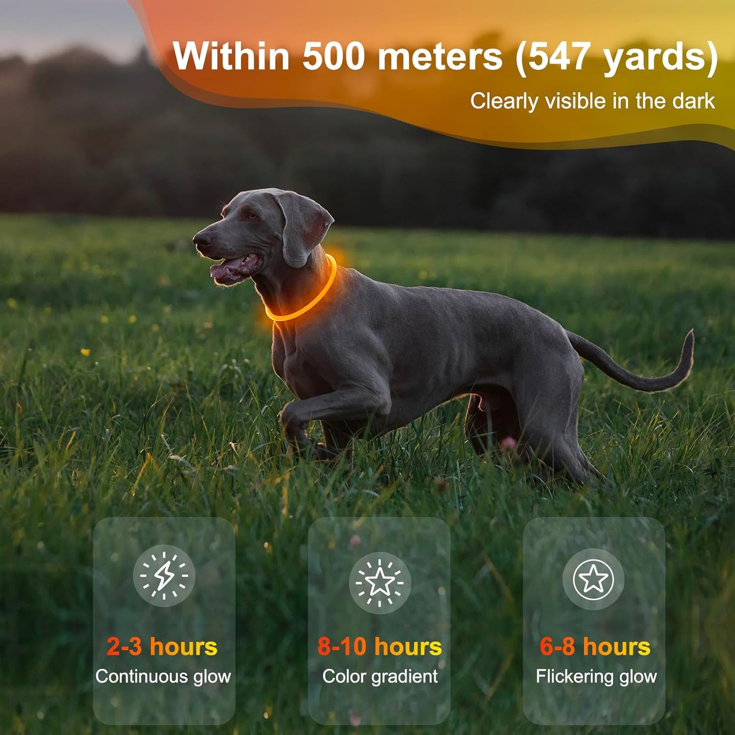 Rechargeable Waterproof Lighted Dog Collar for Enhanced Night Visibility (Orange)