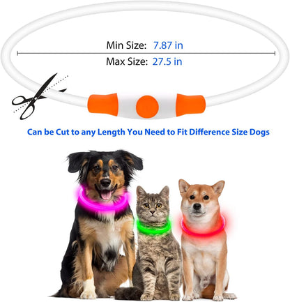 LED Dog Collar - USB Rechargeable Lighted Safety Collar, Adjustable Water-Resistant TPU for Small, Medium, and Large Dogs