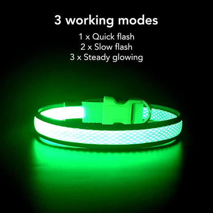 USB Rechargeable LED Dog Collar - Adjustable Super Bright Glowing Light for Night Walks (Green, Small)