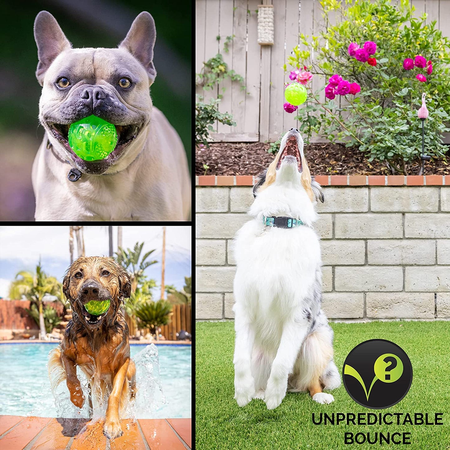 Durasqueak Interactive Dog Ball Toy - Floating and Squeaking Fetch Toy, 2.5 Inch Green, Ideal Alternative to Traditional Tennis Balls