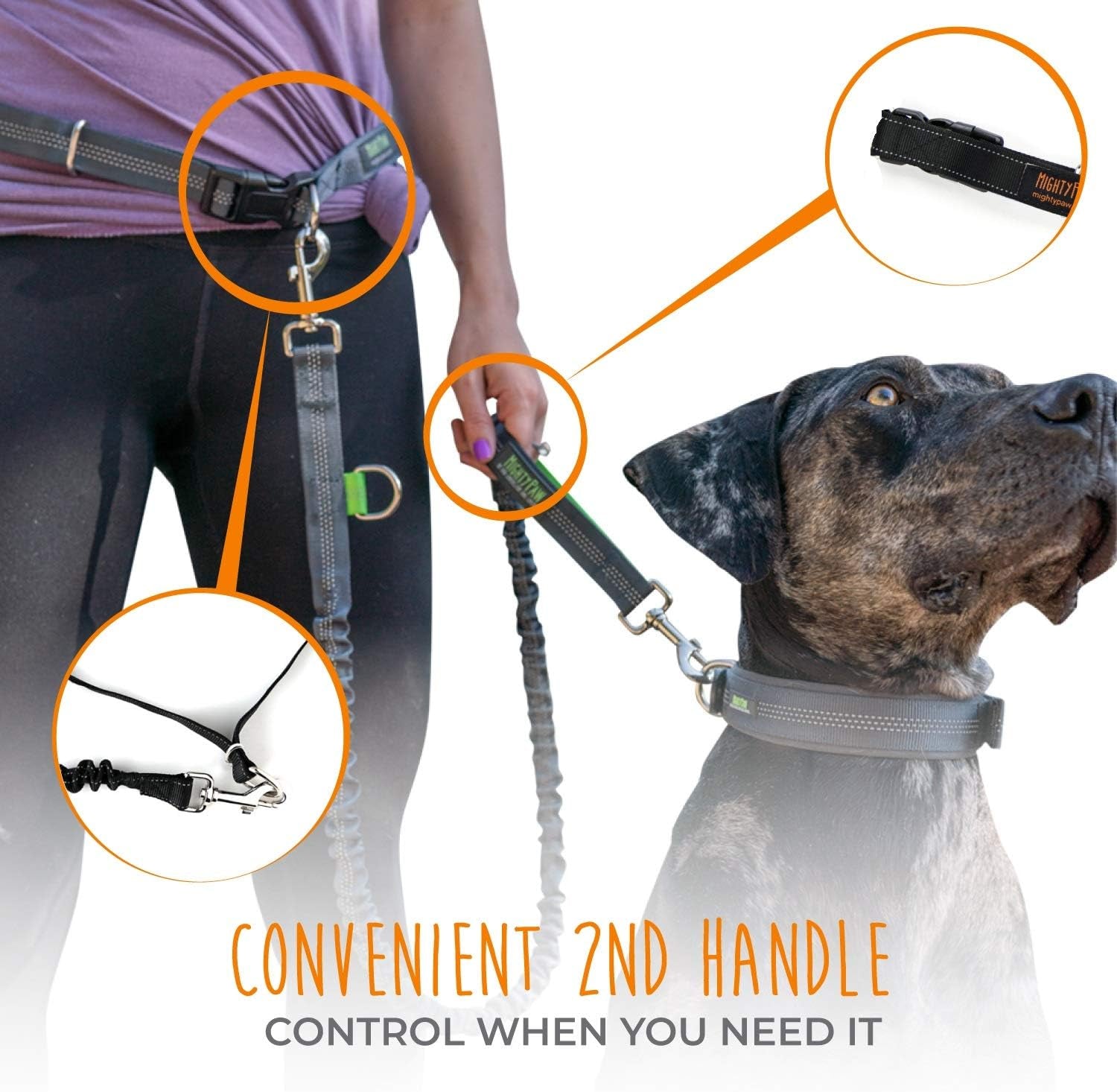 Hands-Free Bungee Dog Leash with Waist Belt for Walking and Running - Suitable for All Breeds up to 150 lbs (36" - 48") - Black