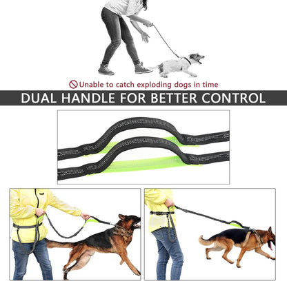 Hands-Free Dog Leash for Running, Walking, Jogging, and Hiking - Adjustable Waist Belt with Dual-Handle Reflective Bungee and Zipper Pouch for Small, Medium, and Large Dogs (Black with Green)