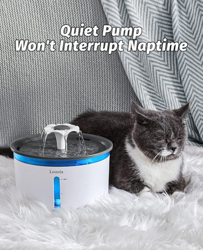 Automatic Pet Water Fountain, 85Oz/2.5L Indoor Dispenser for Cats and Dogs with LED Lighting and 2 Replacement Filters (Dark Gray)
