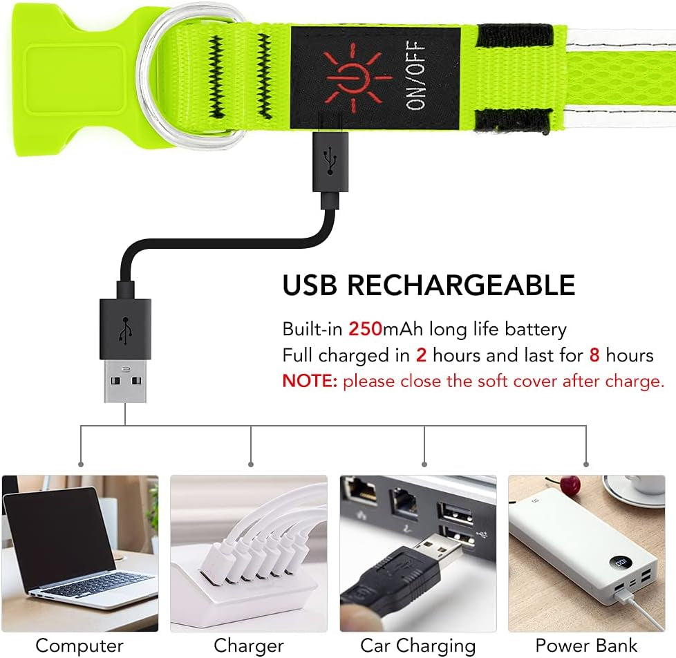 USB Rechargeable LED Dog Collar - Adjustable Super Bright Glowing Light for Night Walks (Green, Small)