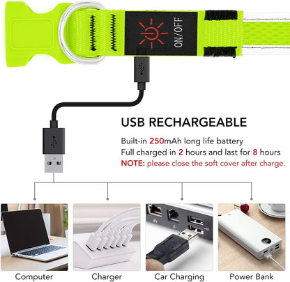 USB Rechargeable LED Dog Collar - Adjustable Super Bright Glowing Light for Night Walks (Green, Small)