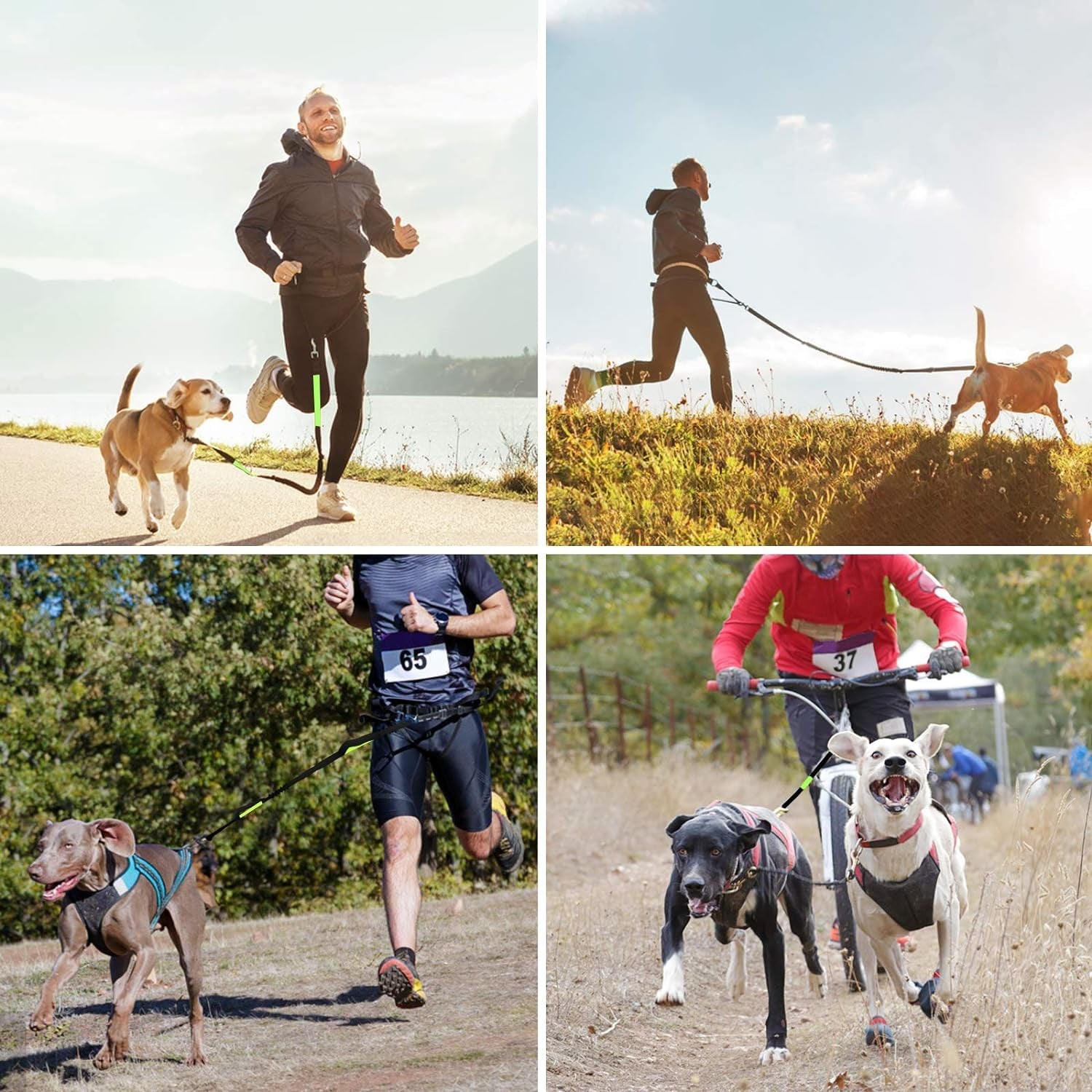 Hands-Free Dog Leash for Running, Walking, Jogging, and Hiking - Adjustable Waist Belt with Dual-Handle Reflective Bungee and Zipper Pouch for Small, Medium, and Large Dogs (Black with Green)