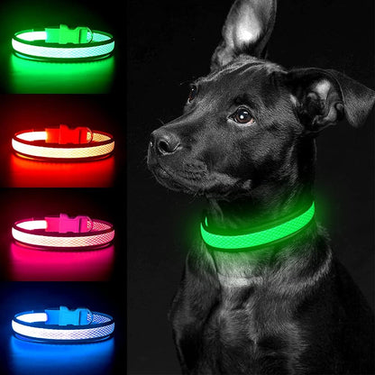 USB Rechargeable LED Dog Collar - Adjustable Super Bright Glowing Light for Night Walks (Green, Small)