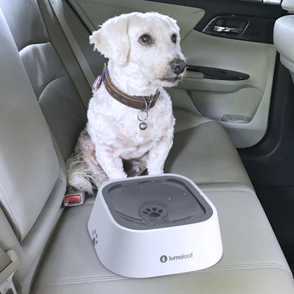 Revolutionary No Spill Water Bowl for Dogs - Drip-Free, Splash-Proof Slow Feeder in Grey (35 Oz)