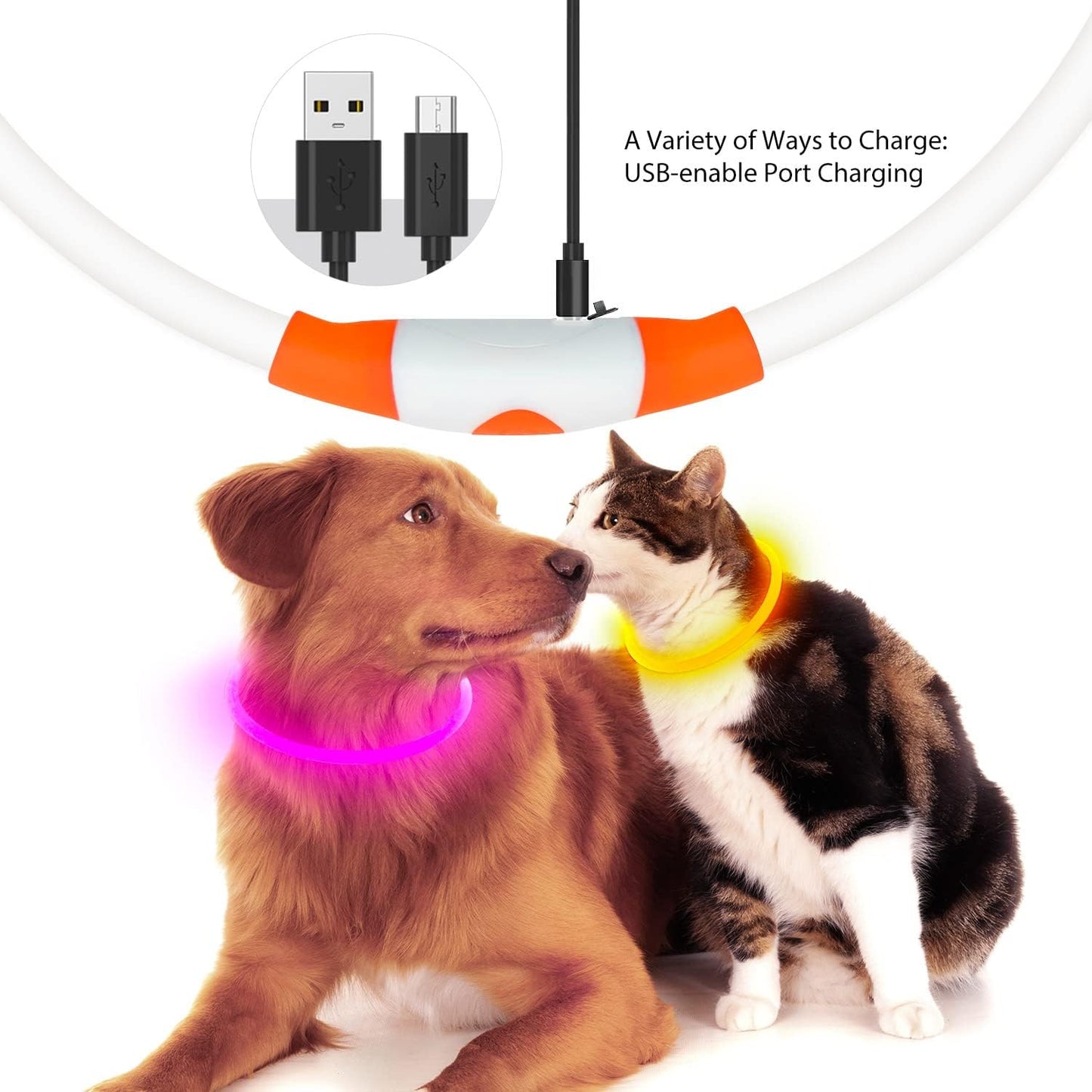 LED Dog Collar - USB Rechargeable Lighted Safety Collar, Adjustable Water-Resistant TPU for Small, Medium, and Large Dogs