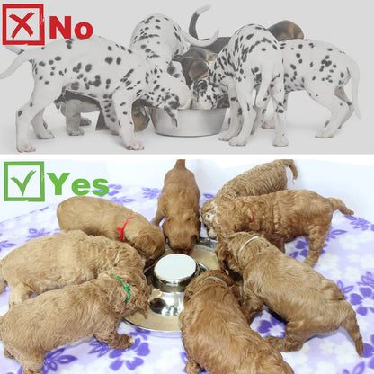 Stainless Steel Dog Bowls for Puppies - 10.3 Inch Feeding and Water Dishes