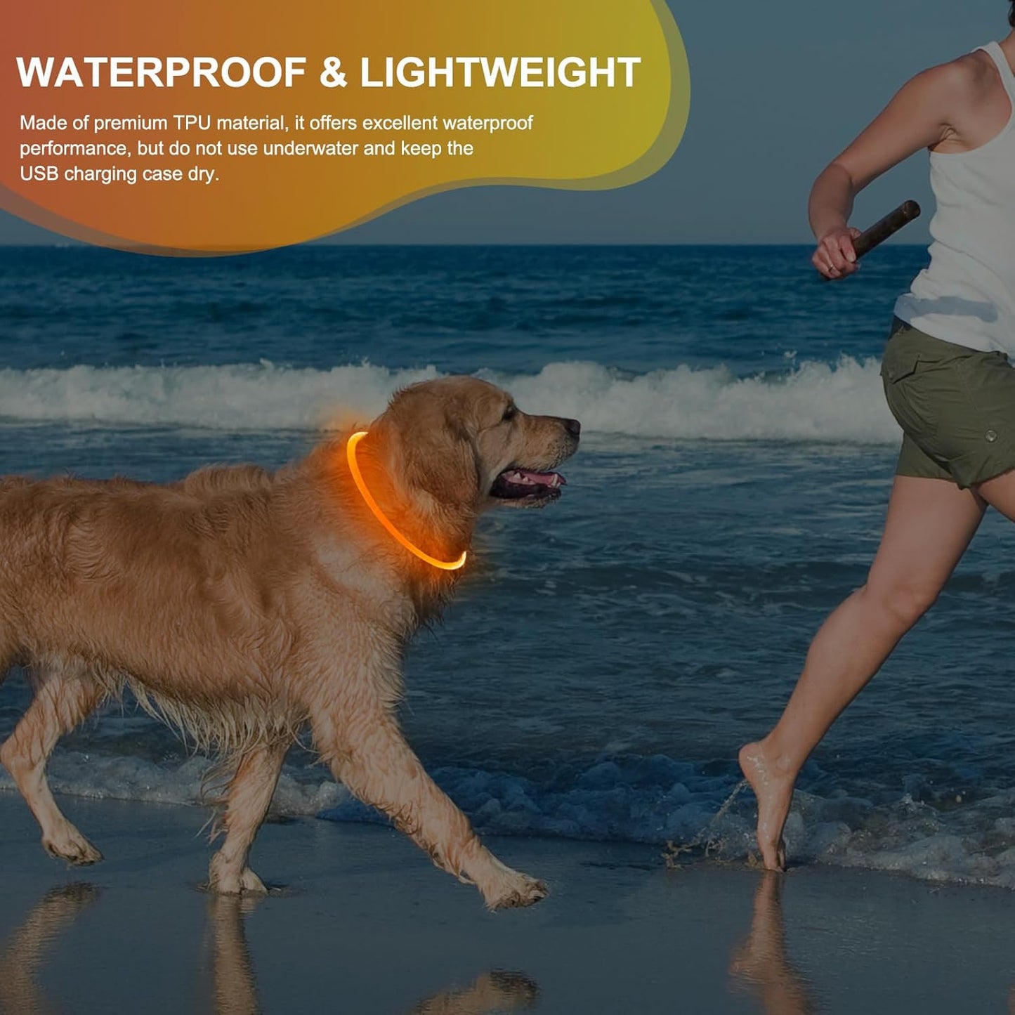 Rechargeable Waterproof Lighted Dog Collar for Enhanced Night Visibility (Orange)