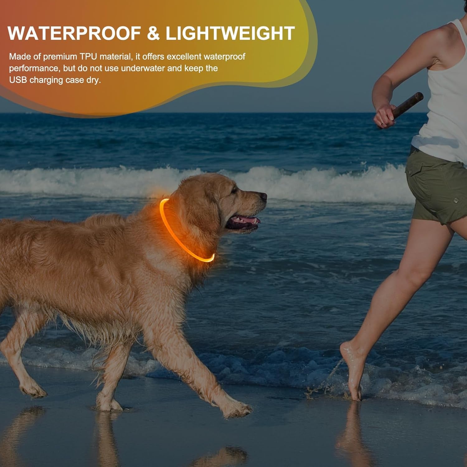 Rechargeable Waterproof Lighted Dog Collar for Enhanced Night Visibility (Orange)