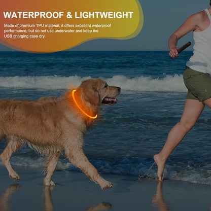 Rechargeable Waterproof Lighted Dog Collar for Enhanced Night Visibility (Orange)