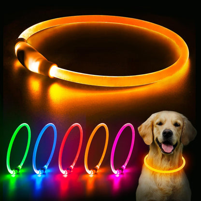 LED Dog Collar - USB Rechargeable Lighted Safety Collar, Adjustable Water-Resistant TPU for Small, Medium, and Large Dogs