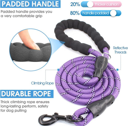 2-Pack 5/6 FT Dog Leash Set with Padded Handle and Reflective Threads for Small, Medium, and Large Dogs (5FT-1/2'', Black and Purple)
