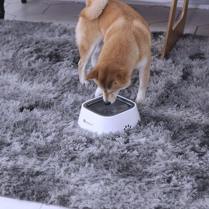 Revolutionary No Spill Water Bowl for Dogs - Drip-Free, Splash-Proof Slow Feeder in Grey (35 Oz)