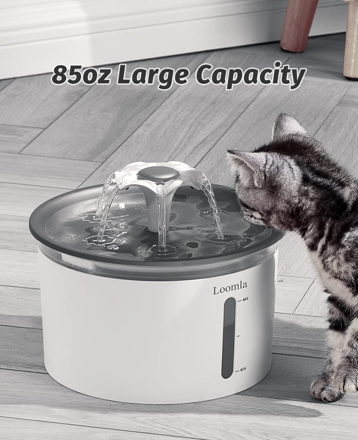 Automatic Pet Water Fountain, 85Oz/2.5L Indoor Dispenser for Cats and Dogs with LED Lighting and 2 Replacement Filters (Dark Gray)