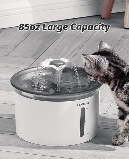 Automatic Pet Water Fountain, 85Oz/2.5L Indoor Dispenser for Cats and Dogs with LED Lighting and 2 Replacement Filters (Dark Gray)