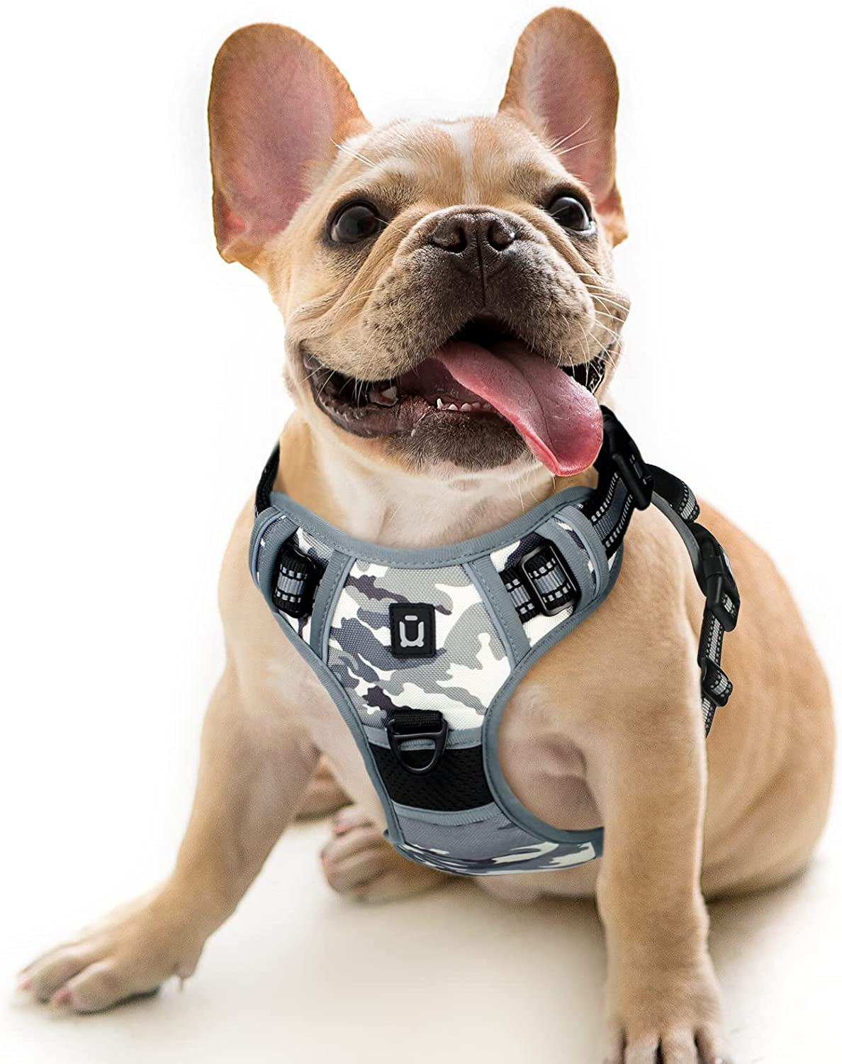 Waldseemuller No-Pull Dog Harness for Large Dogs - Easy Walk Harness with 4 Buckles for Medium to Extra Large Dogs and Puppy Training