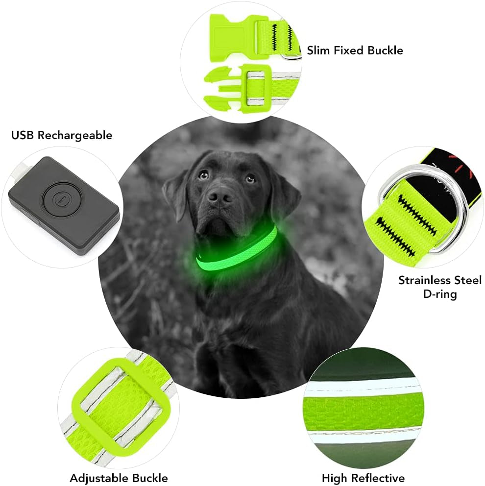 USB Rechargeable LED Dog Collar - Adjustable Super Bright Glowing Light for Night Walks (Green, Small)