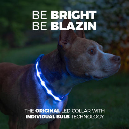 LED Dog Collar - Original USB Rechargeable and Waterproof - 1,000 Feet Visibility for Small, Medium, and Large Dogs - US Brand
