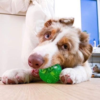 Durasqueak Interactive Dog Ball Toy - Floating and Squeaking Fetch Toy, 2.5 Inch Green, Ideal Alternative to Traditional Tennis Balls