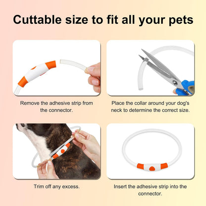 Rechargeable Waterproof Lighted Dog Collar for Enhanced Night Visibility (Orange)