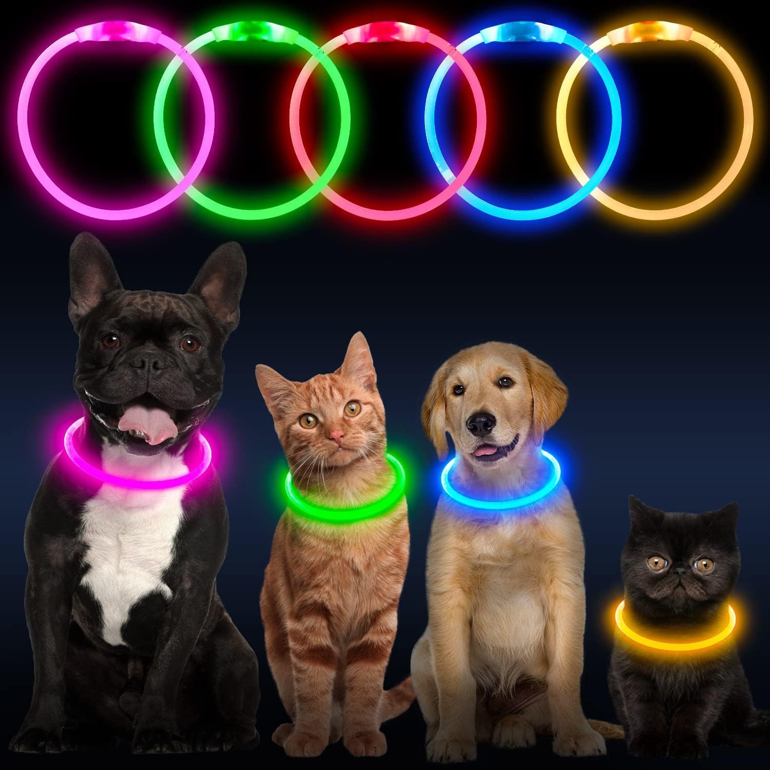 LED Dog Collar - USB Rechargeable Lighted Safety Collar, Adjustable Water-Resistant TPU for Small, Medium, and Large Dogs