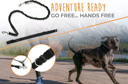 Hands-Free Bungee Dog Leash with Waist Belt for Walking and Running - Suitable for All Breeds up to 150 lbs (36" - 48") - Black