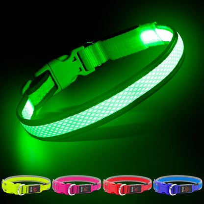 USB Rechargeable LED Dog Collar - Adjustable Super Bright Glowing Light for Night Walks (Green, Small)