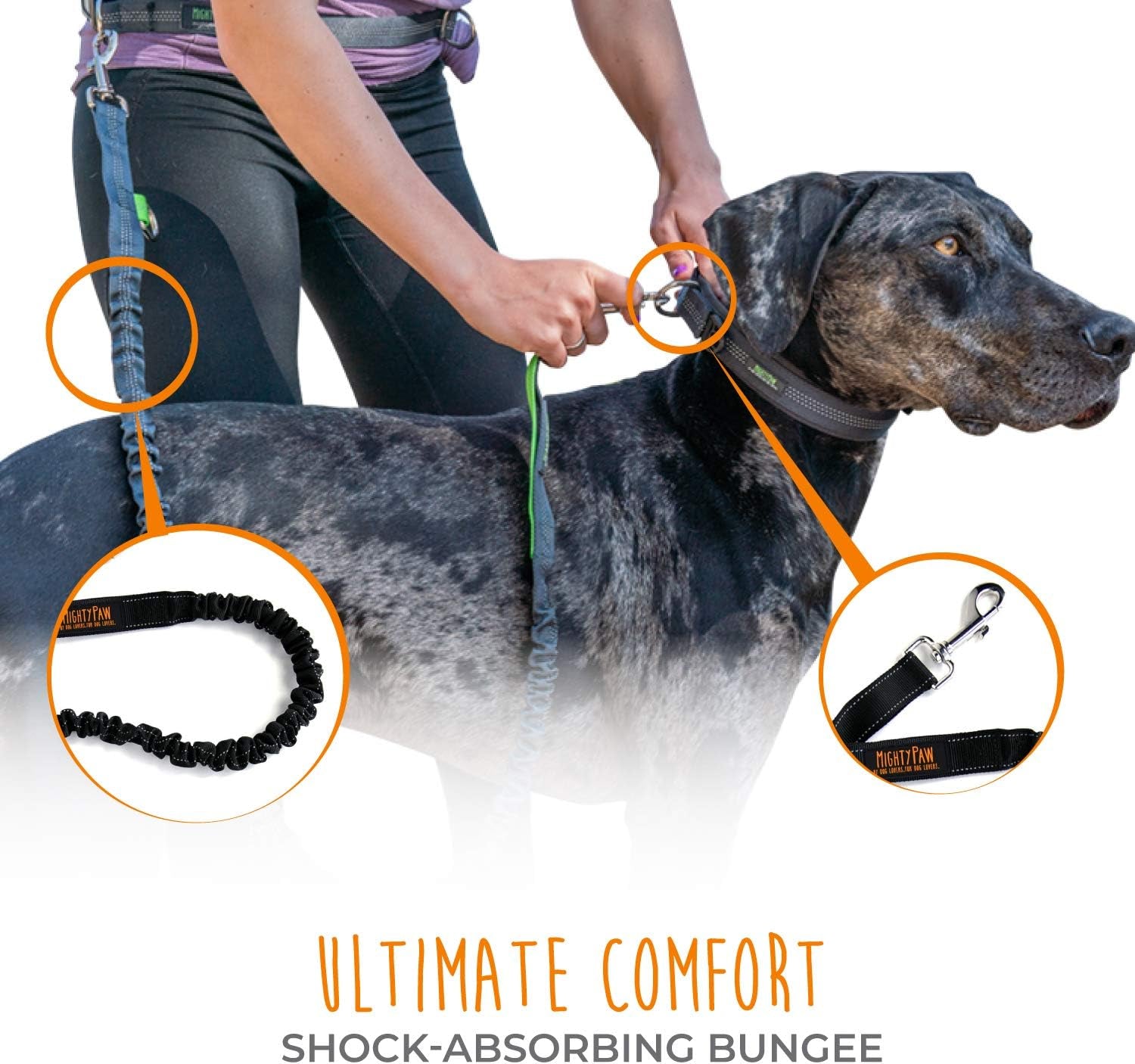 Hands-Free Bungee Dog Leash with Waist Belt for Walking and Running - Suitable for All Breeds up to 150 lbs (36" - 48") - Black