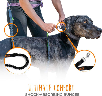 Hands-Free Bungee Dog Leash with Waist Belt for Walking and Running - Suitable for All Breeds up to 150 lbs (36" - 48") - Black