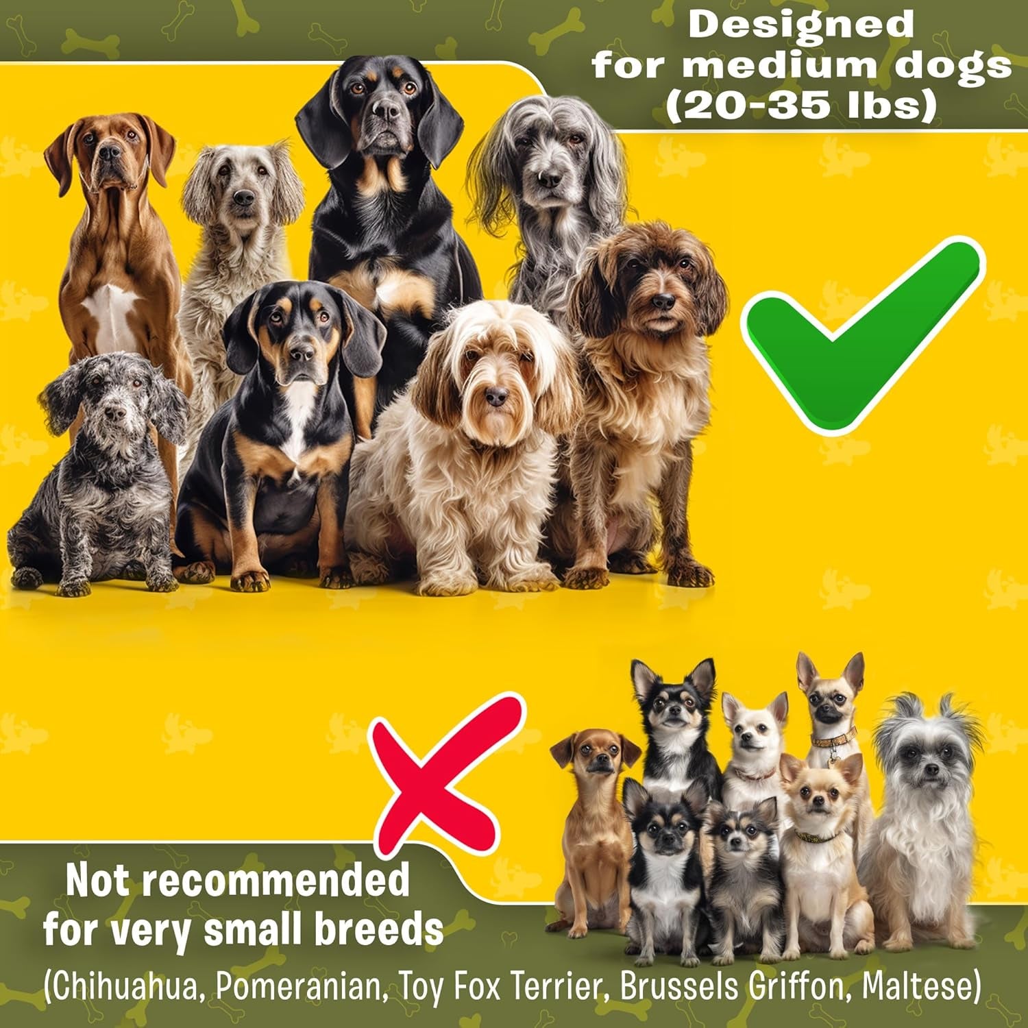 Premium Hands-Free Leash for Medium Dogs: Optimal Comfort and Freedom for Running, Walking, and Hiking. Durable and Versatile Waist Dog Leash Belt.